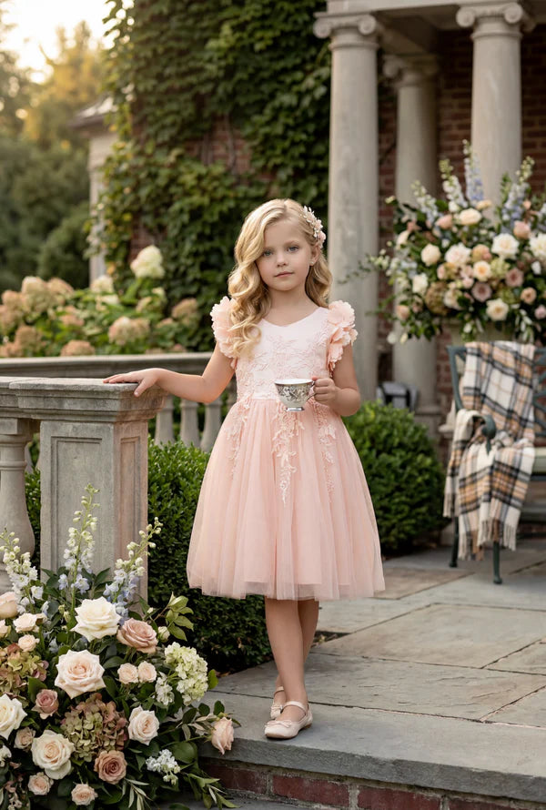 V Neck 3D Floral Cap Sleeve Blush Pink Lace Tulle Short Flower Girl Dresses