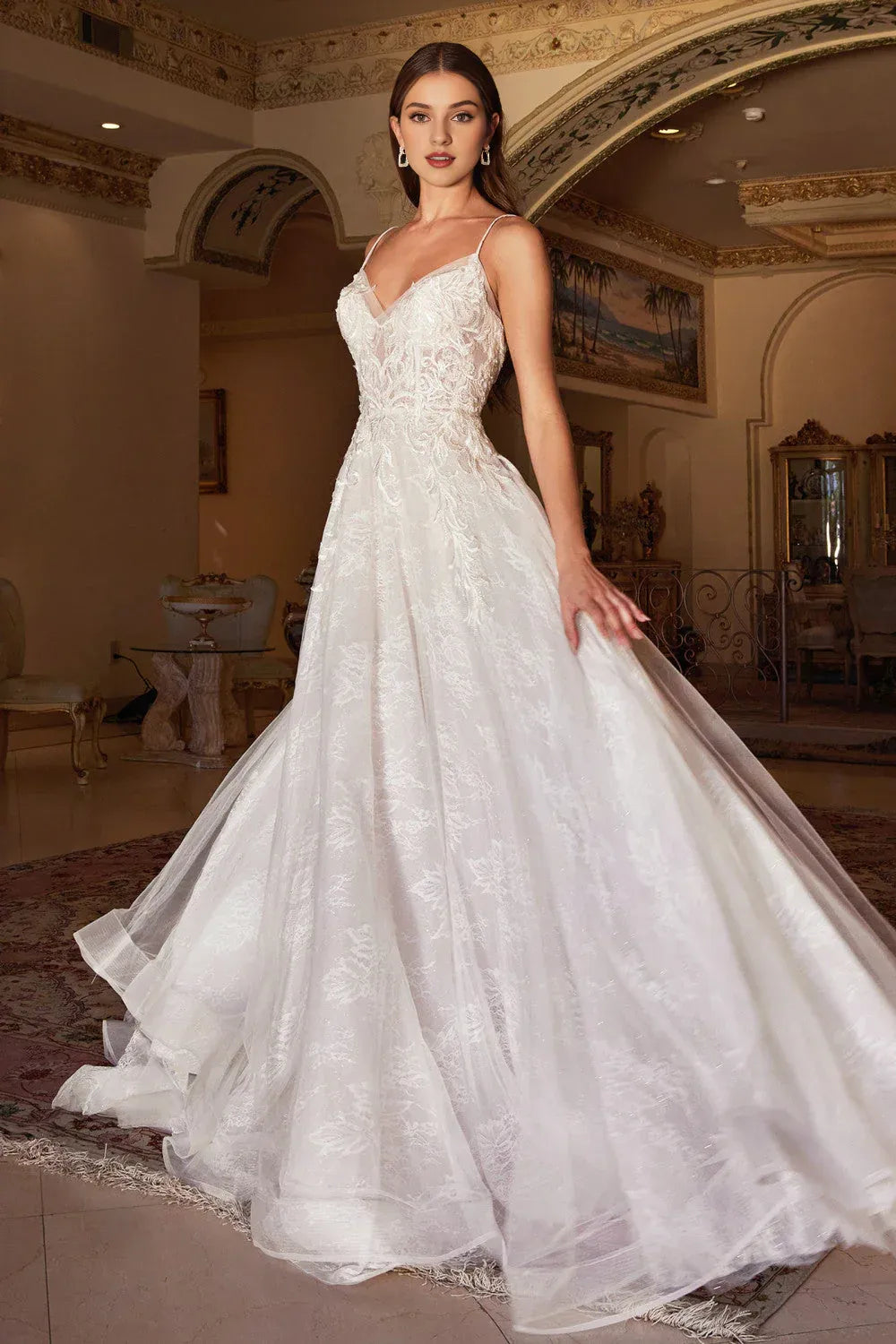 Whimsical A-Line Plunging-Neck Spaghetti-Strap Floor-Length Wedding Dress